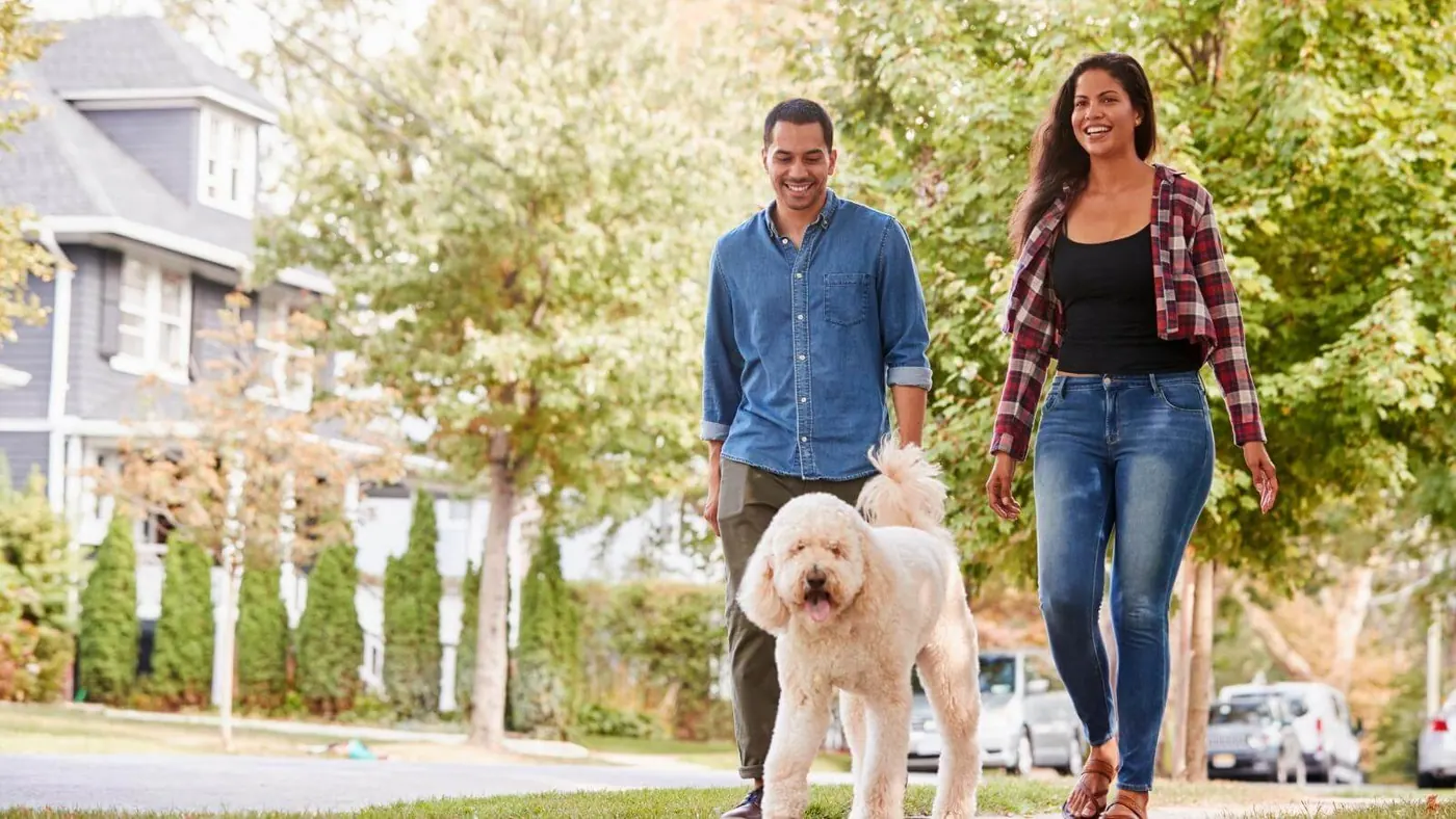 Woman and man walking their dog outside